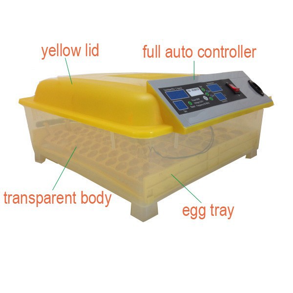 &amp; Accessories - 48 Egg Incubator fully automatic digital birds ducks 